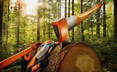 Forestry