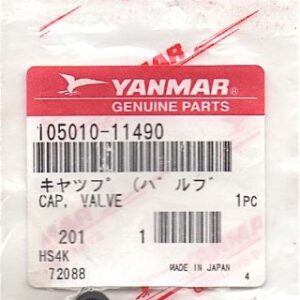 CAP, VALVE
