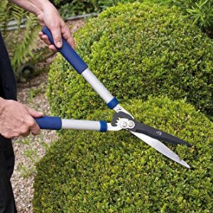 Hedge Shears