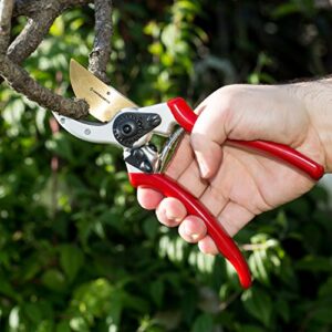 Secateurs
