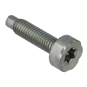 Screw