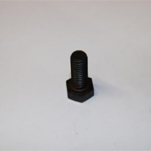 Screw