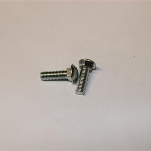 Screw