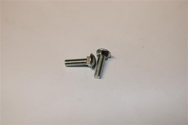 Screw