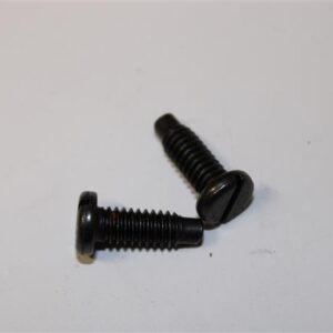 Screw