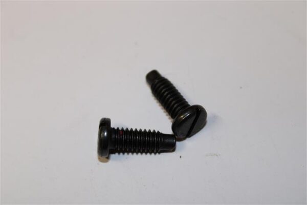 Screw