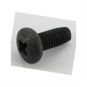 Screw