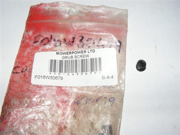Grub Screw