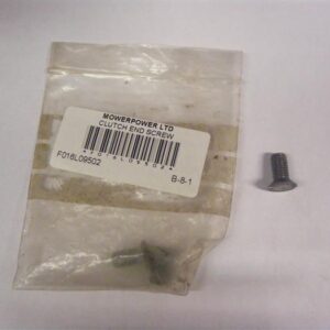 Clutch End Screw