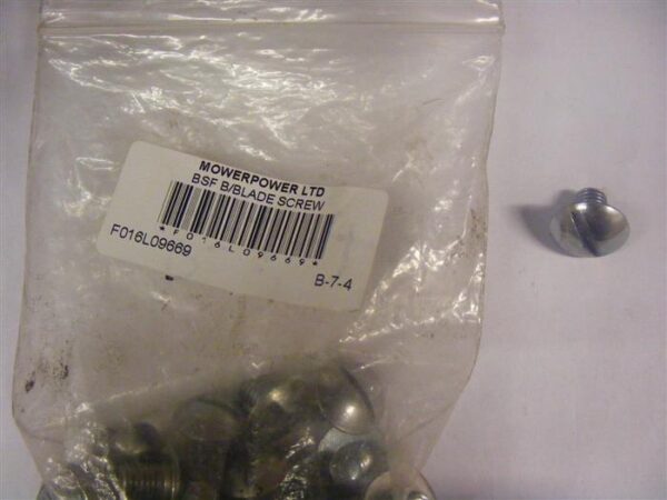 BSF Bottom Blade Screw