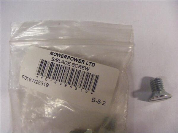 Bottom Blade Screw