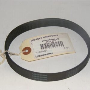 Drive Belt