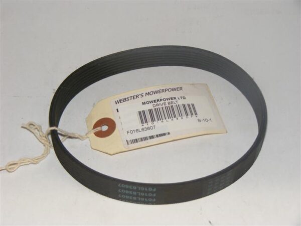 Drive Belt