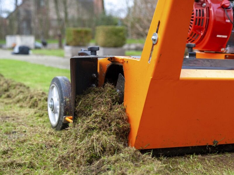 Lawn scarifying – How to