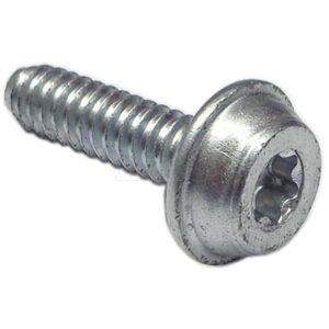 Screw